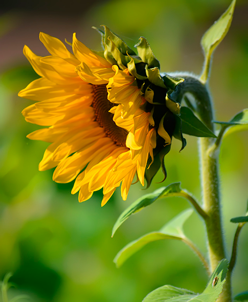 Lessons of Resilience